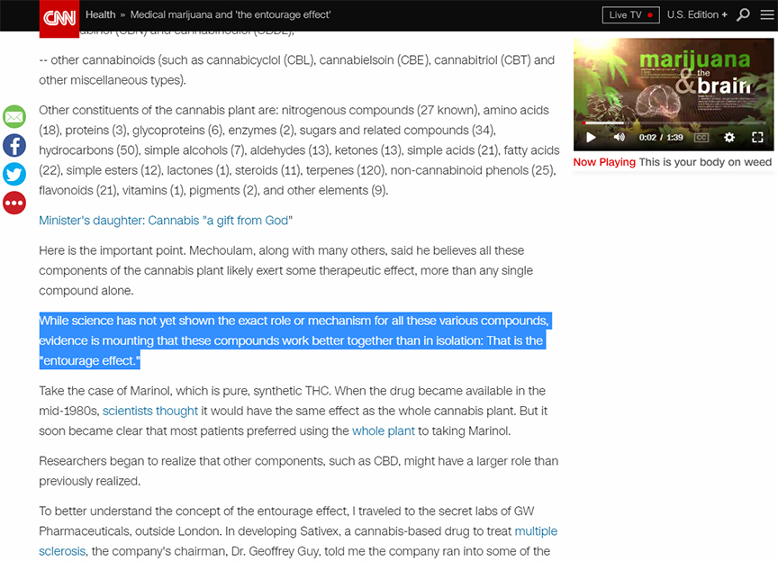 bogus pot story.jpg
