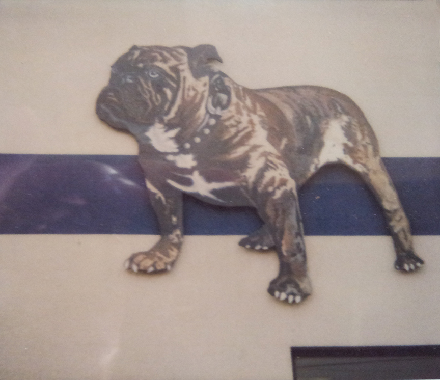 bulldog-4.jpg