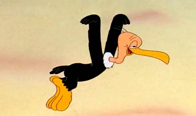 buzzard.jpg