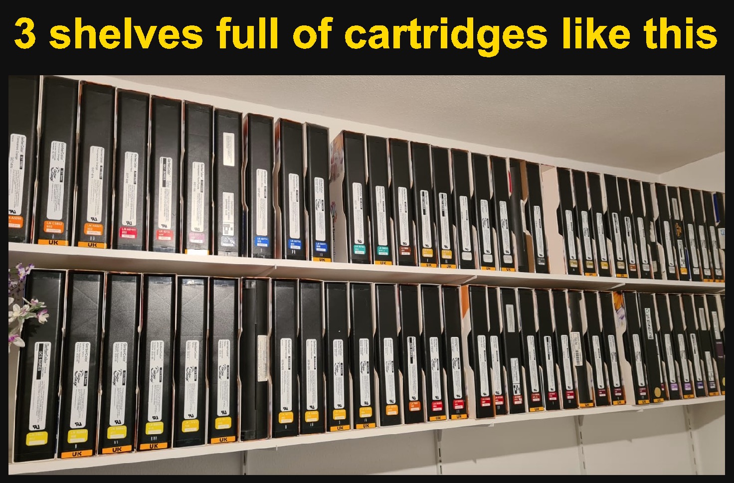 capture-8.jpg
