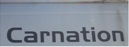 Carnation Logo.jpg