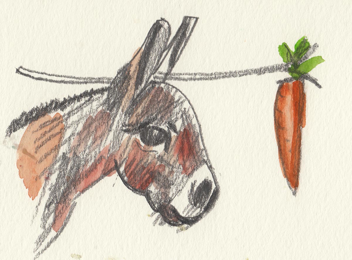 carrot.jpg