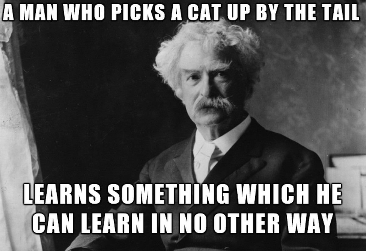 cat by tail.jpg