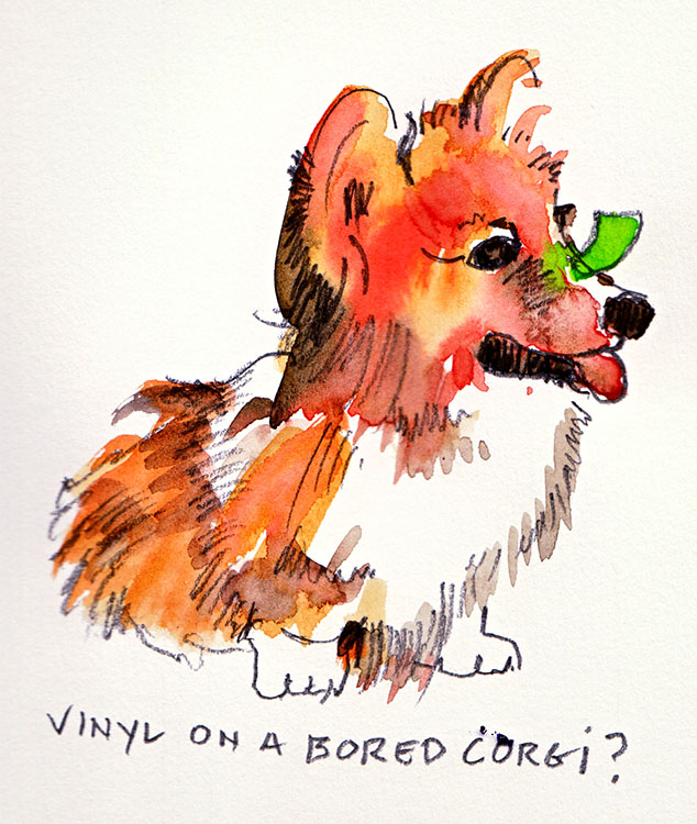 corgi.jpg