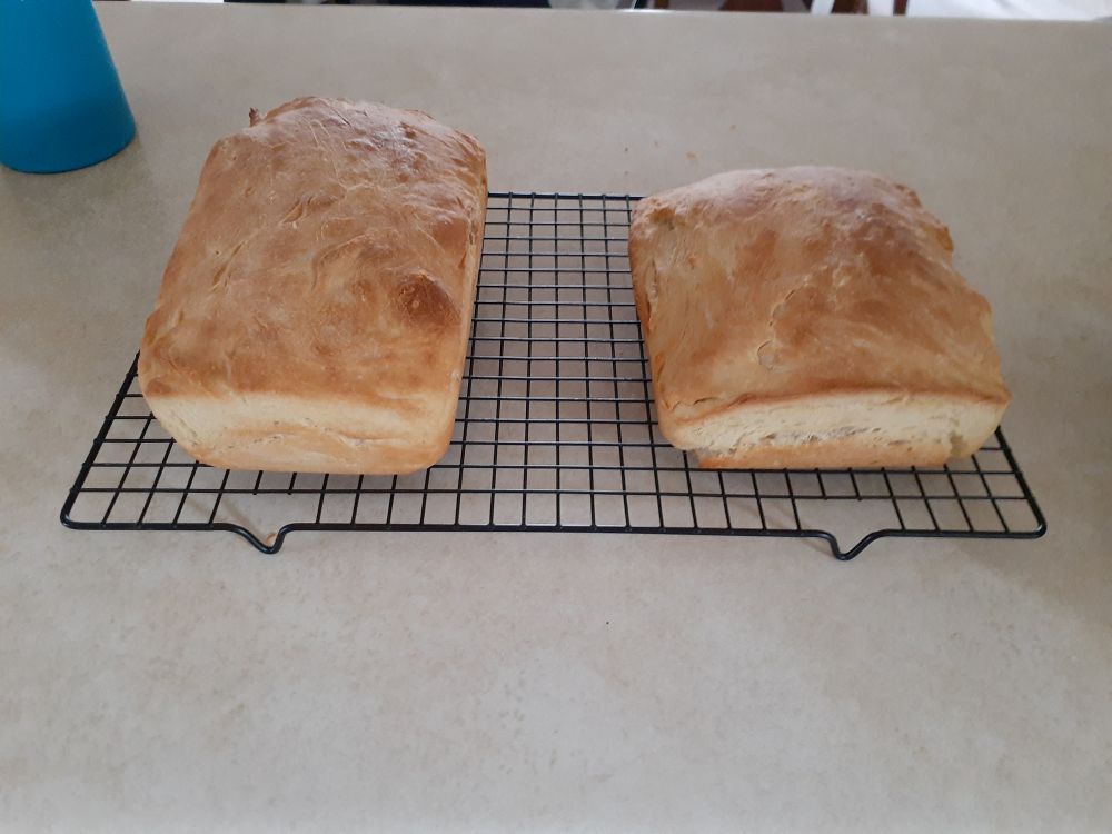 covid bread 001.jpg