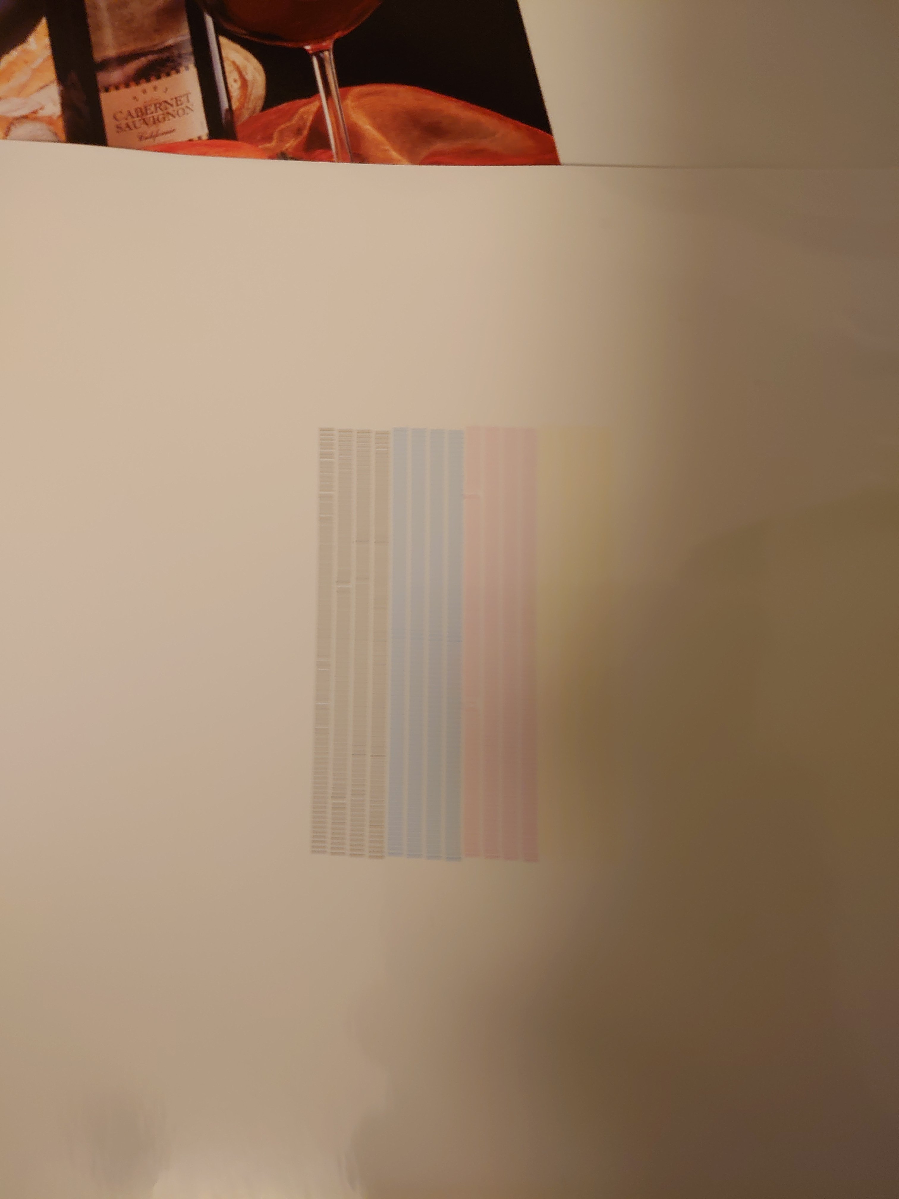 DSC_2999.JPG