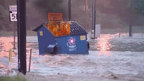 dumpster fire.gif