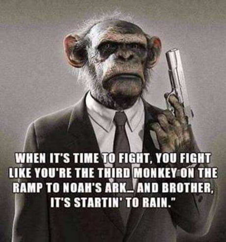 fight.jpg