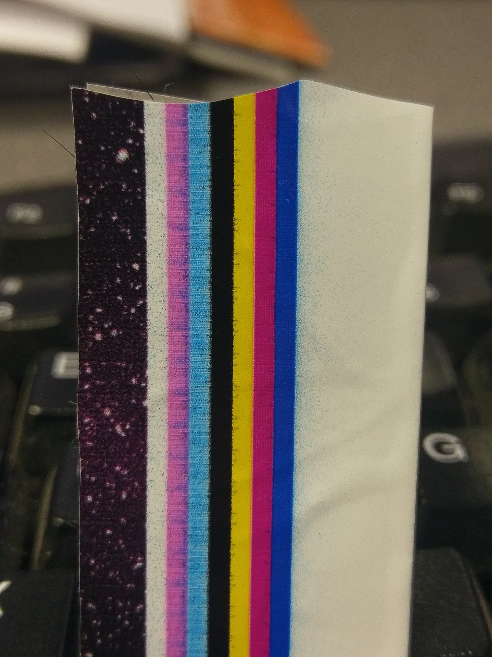 IMAG0582.jpg