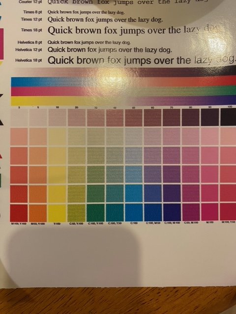 image1.jpeg