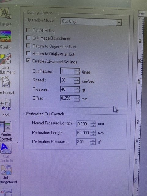 image1.jpeg