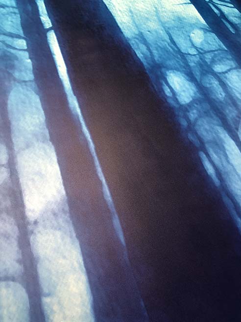 Image1.jpg