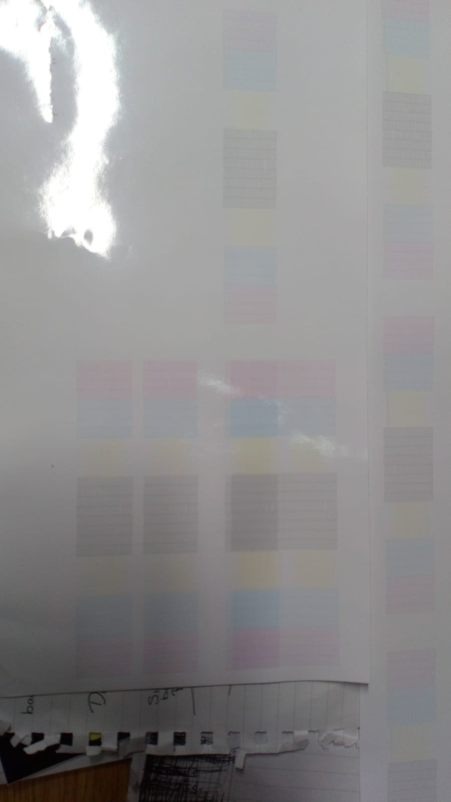 IMG-20180608-WA0065.jpg