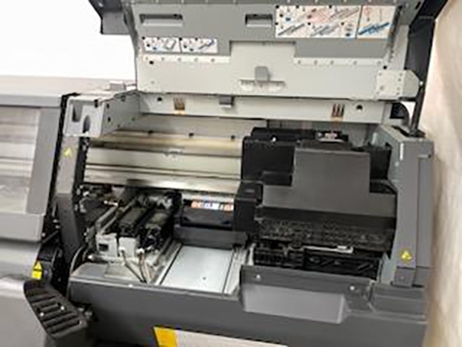IMG_20231109_114558.jpg
