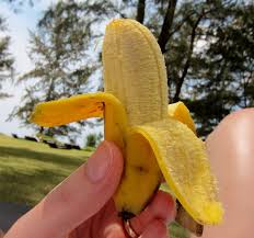 lady finger.jpg