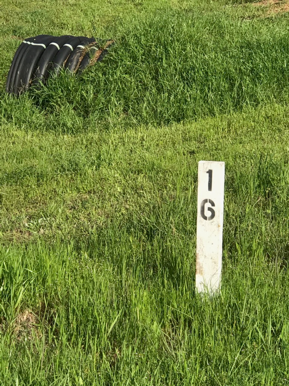 lotmarker.jpg