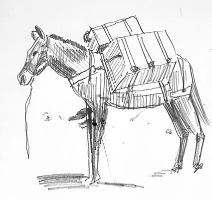 mule bessie.jpg