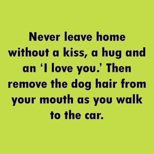 Never leave home.jpg