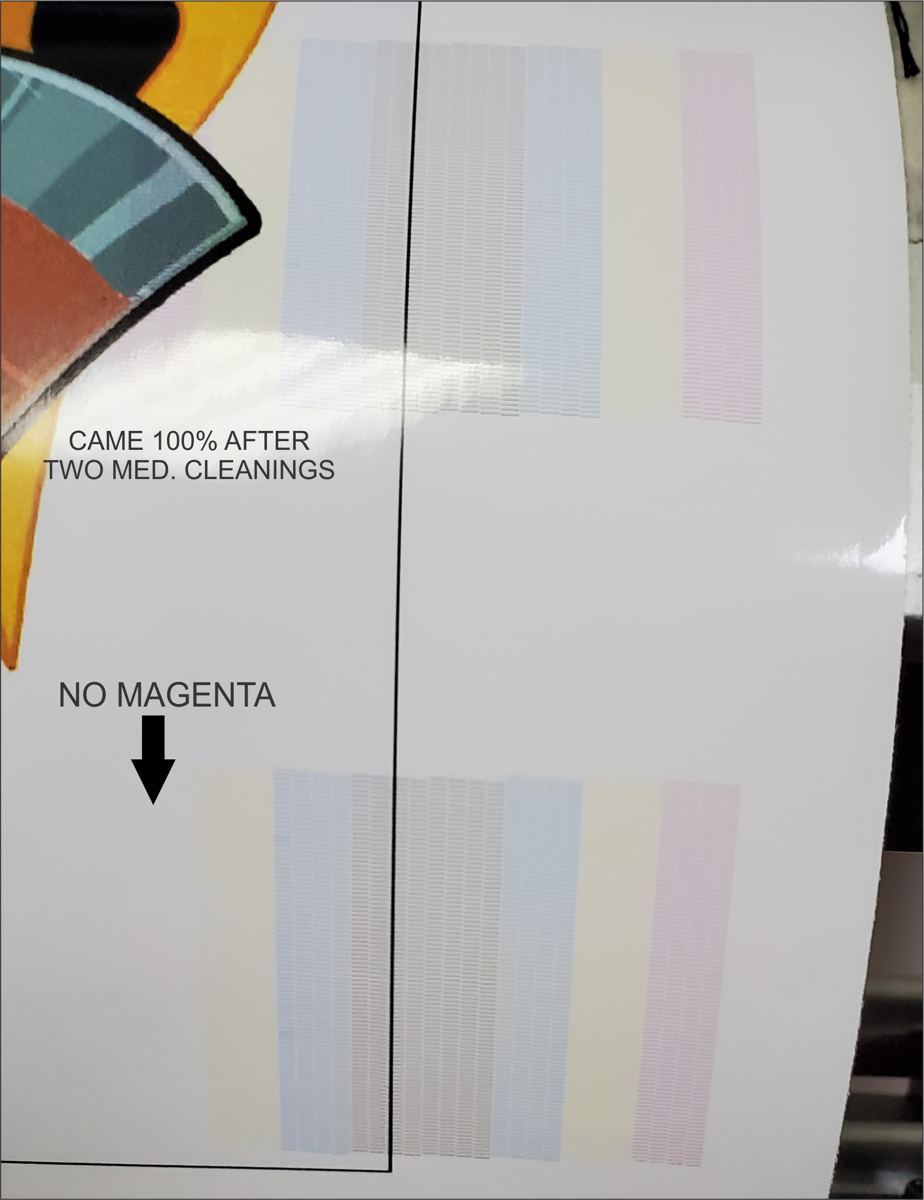 NO MAGENTA.jpg
