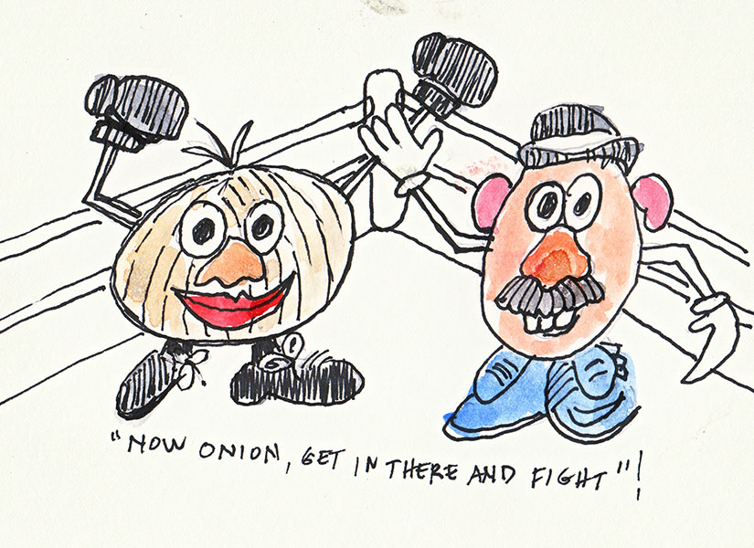 onionbox.jpg