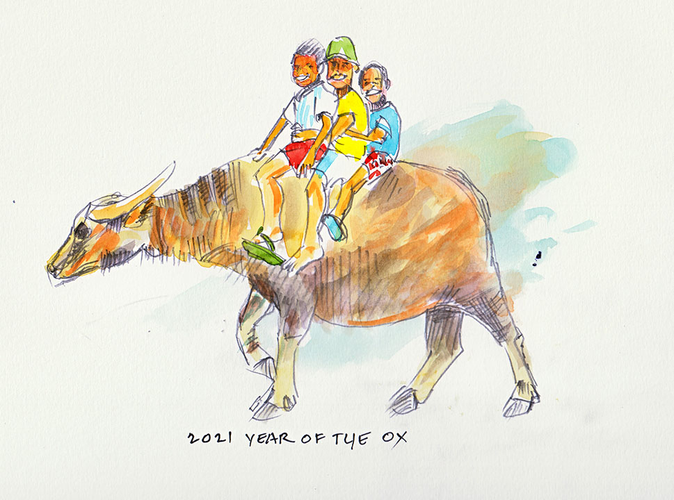 ox.jpg