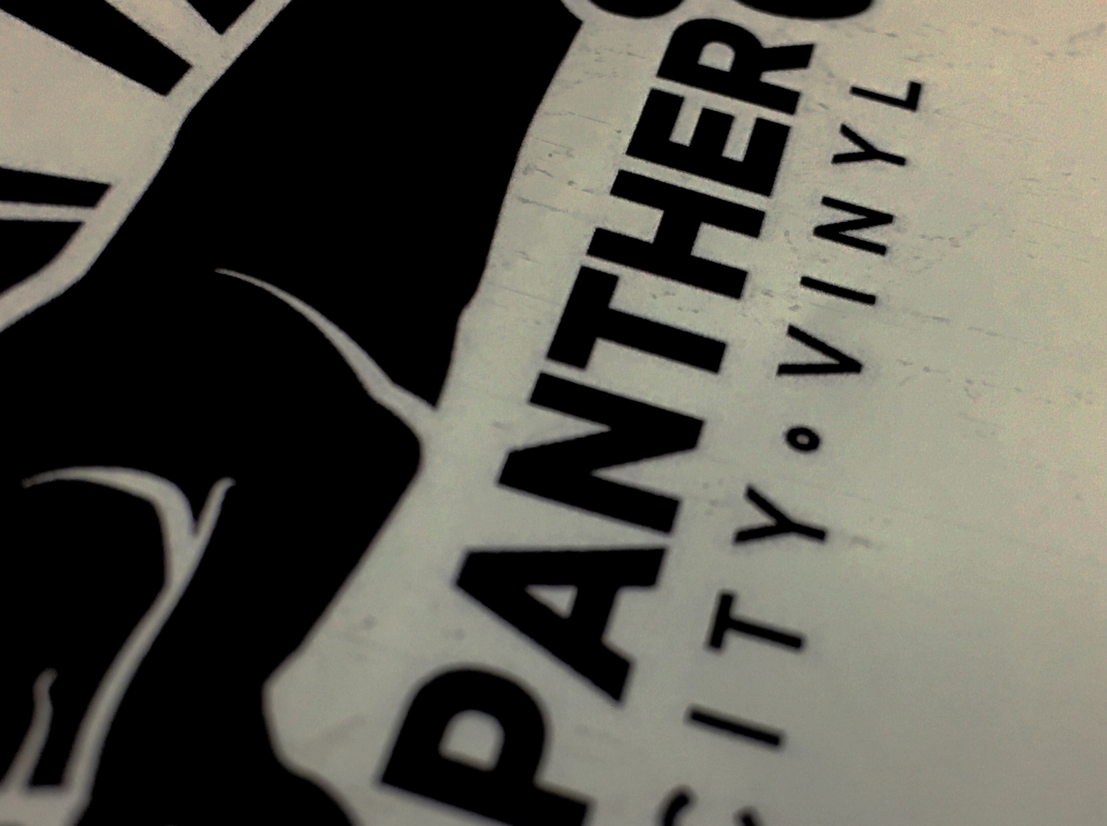panther-city.jpg