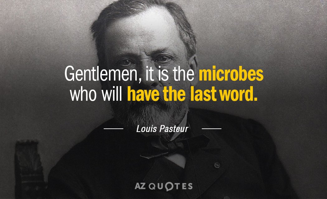 Pasteur 01.jpg