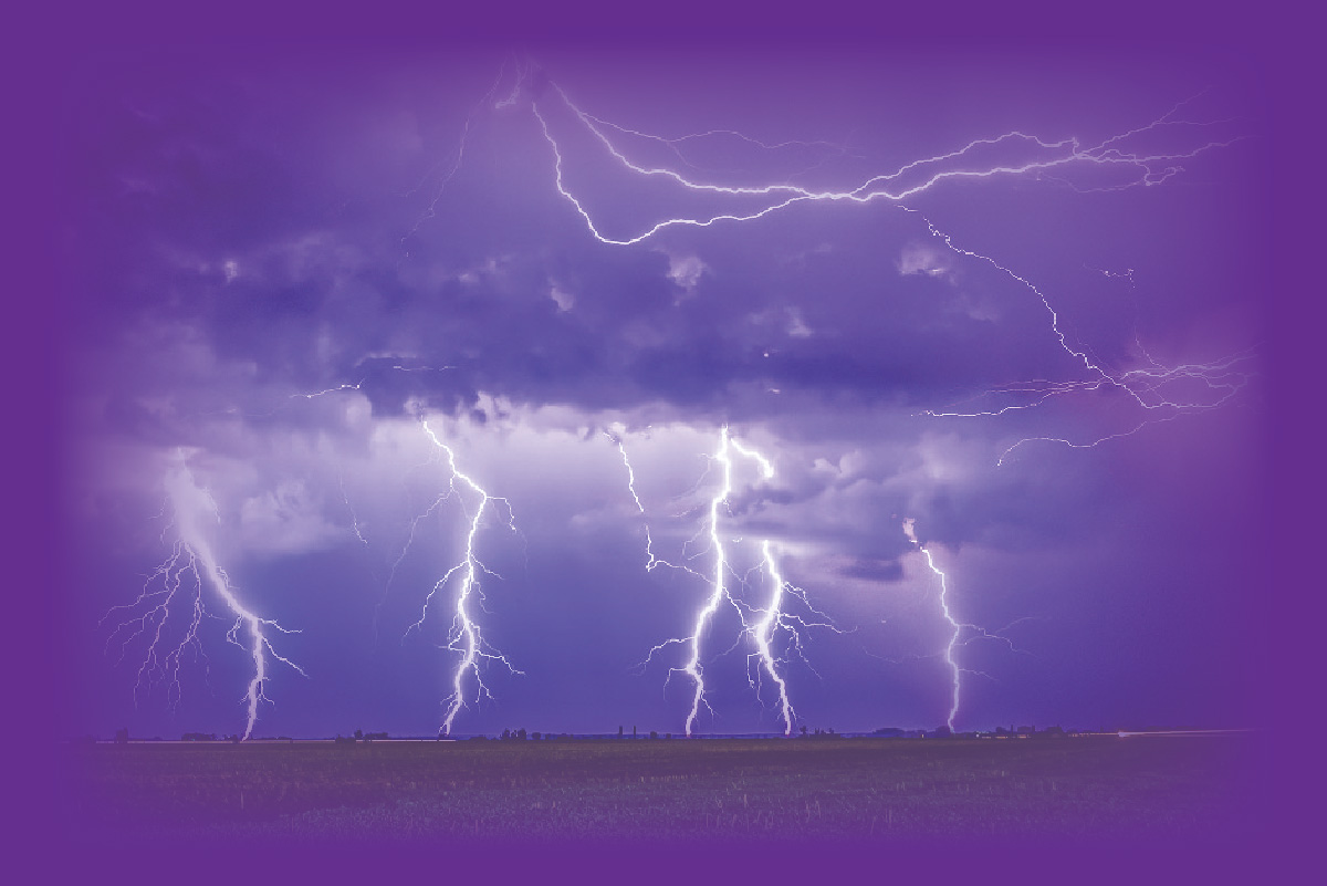 purple-01-01.jpg