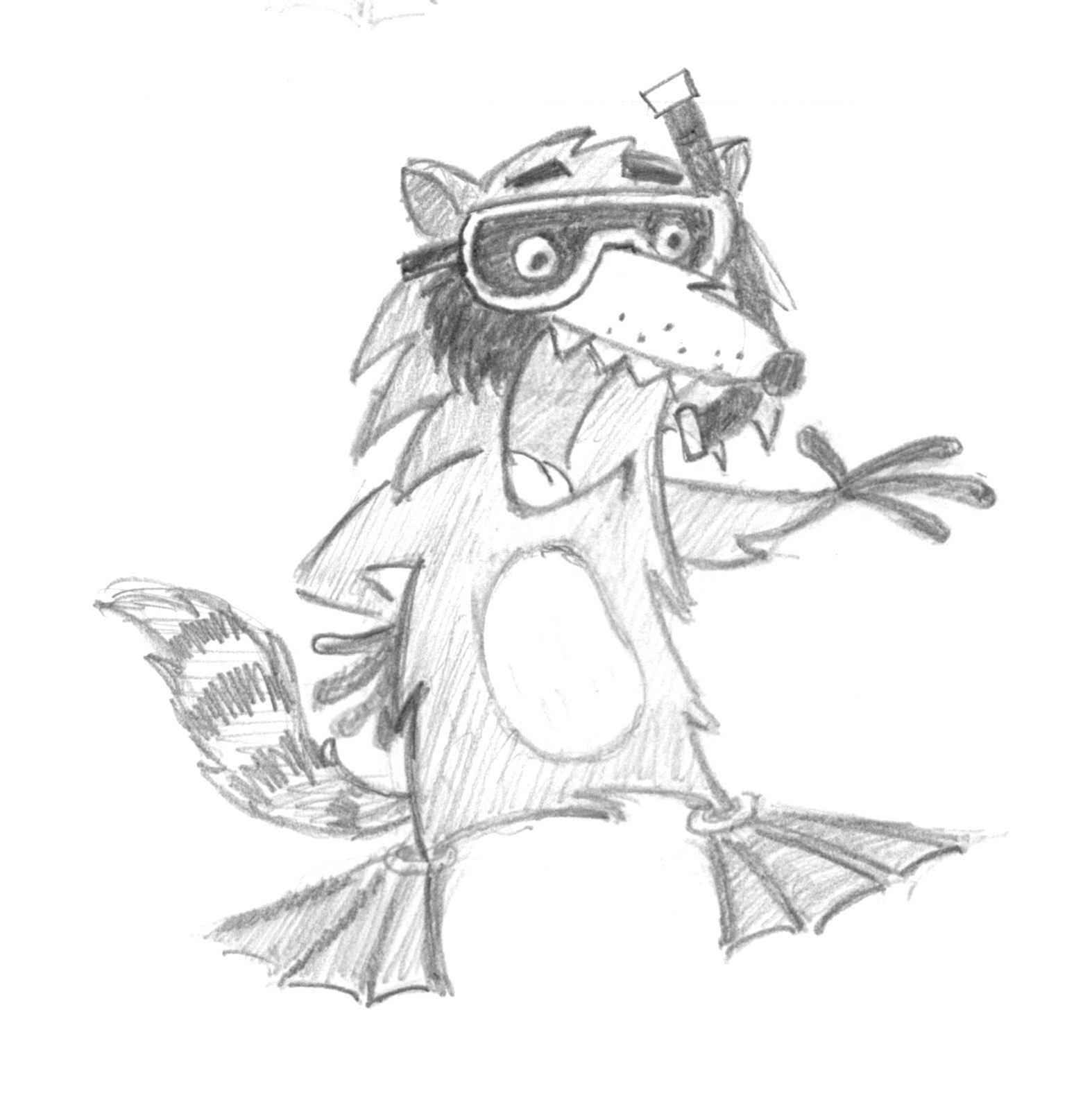 raccoon 2.jpeg