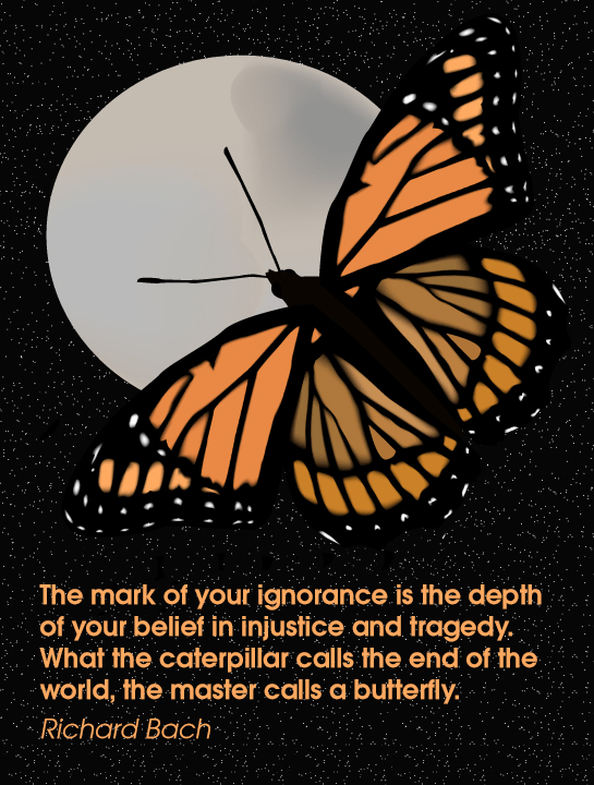 Richard Bach butterfly.jpg