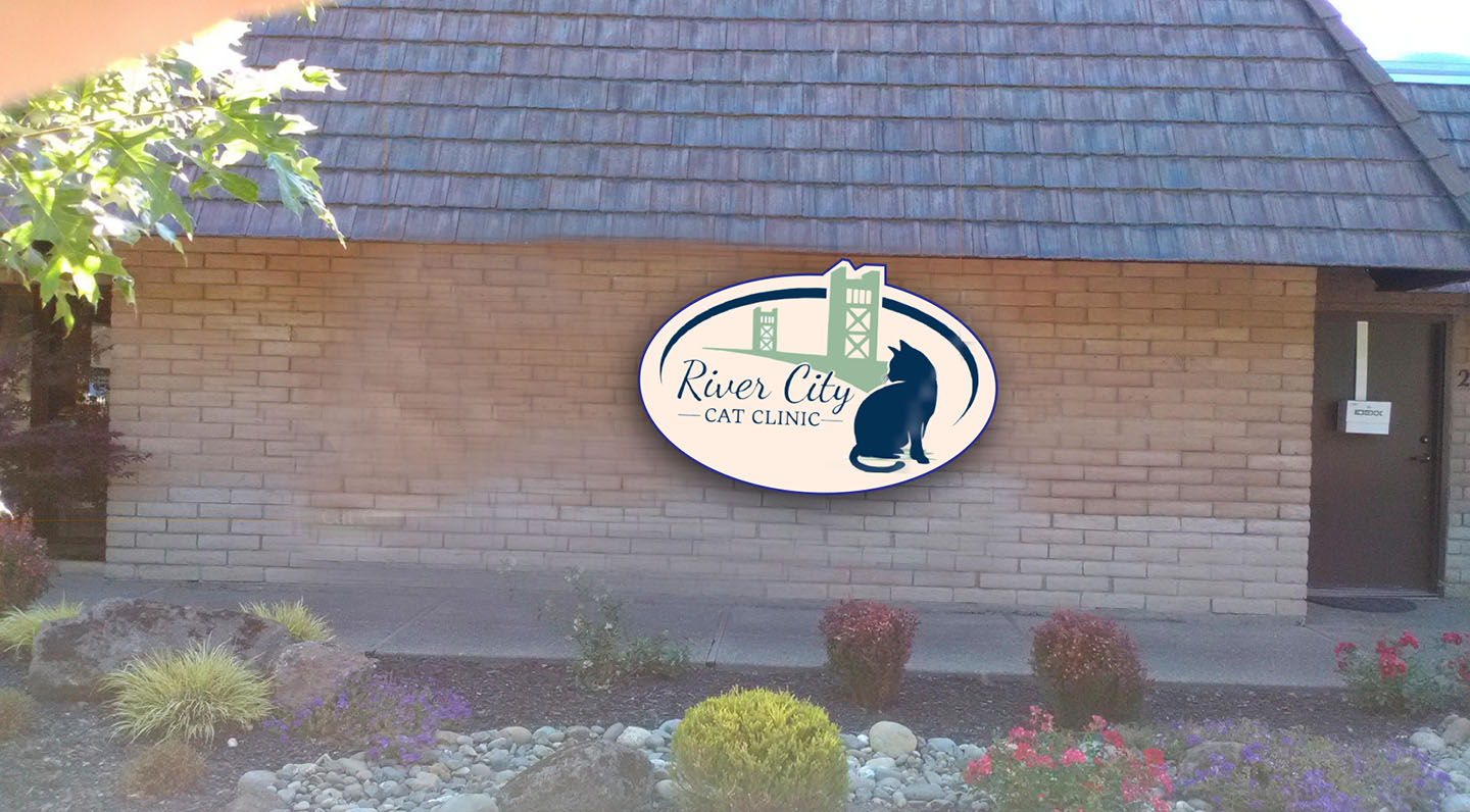 rivercity.jpg
