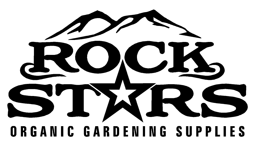 rock stars 2.jpg