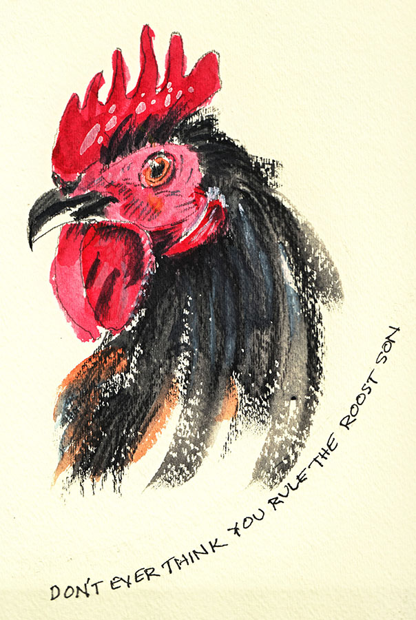 roost copy.jpg