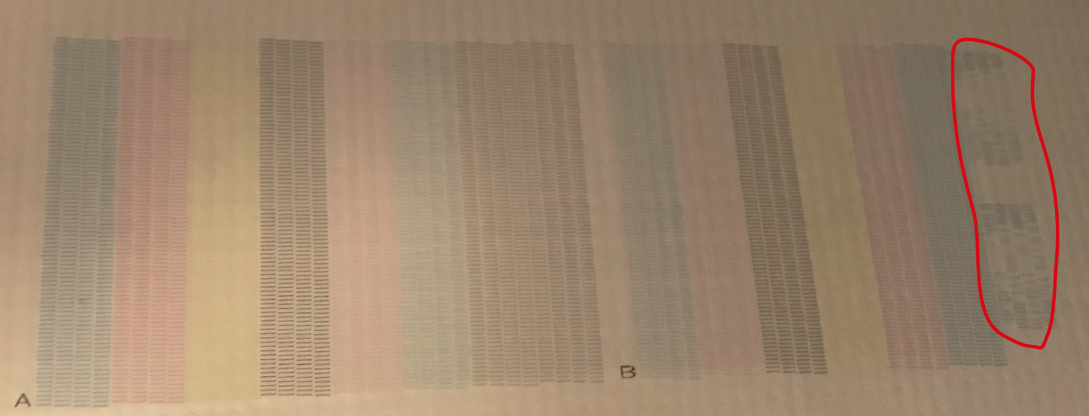 Screen Shot 2019-03-10 at 12.55.51 AM.png