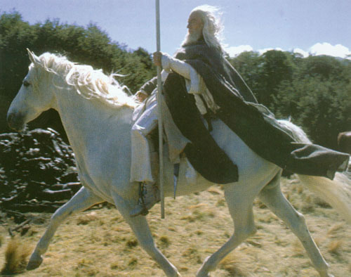 shadowfax-rider.jpg