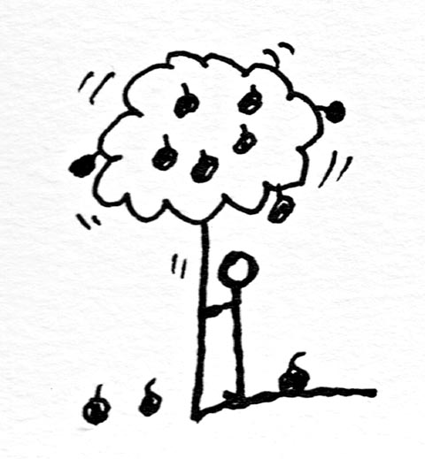 shaking tree.jpg
