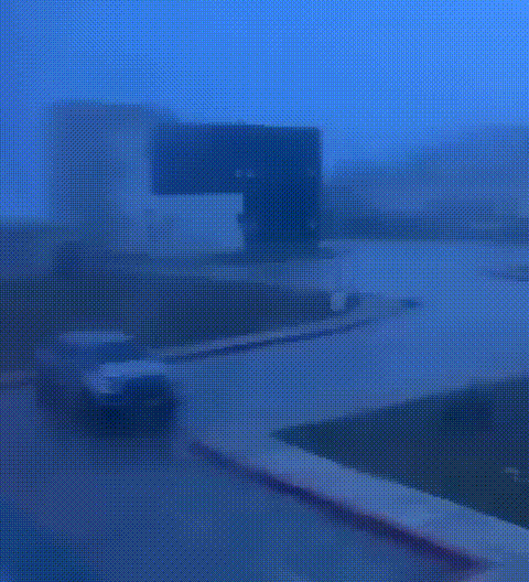 ssstwitter.com_1684949739821.gif