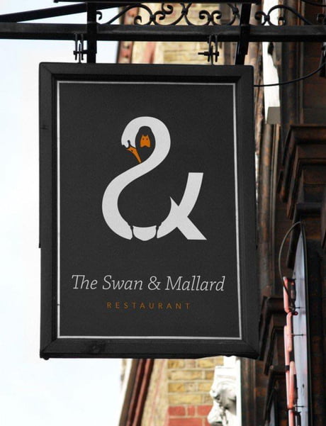 swan.jpg