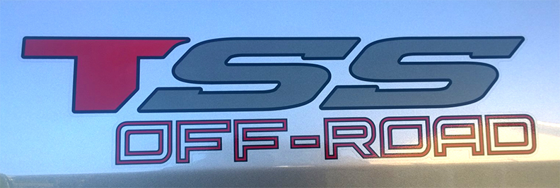tss.jpg