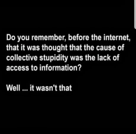 web-wit.jpg