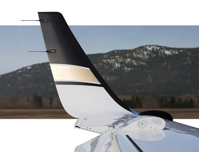 winglet.JPG