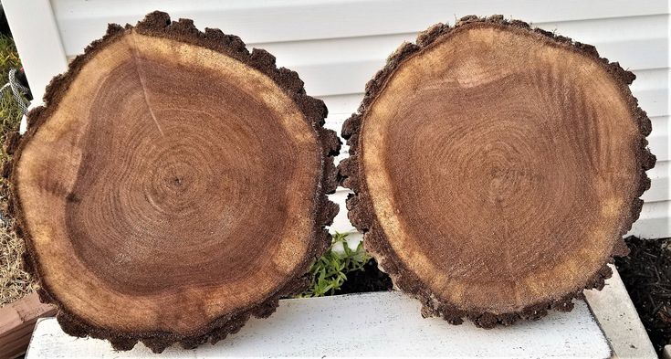 Wood Cookie.jpeg