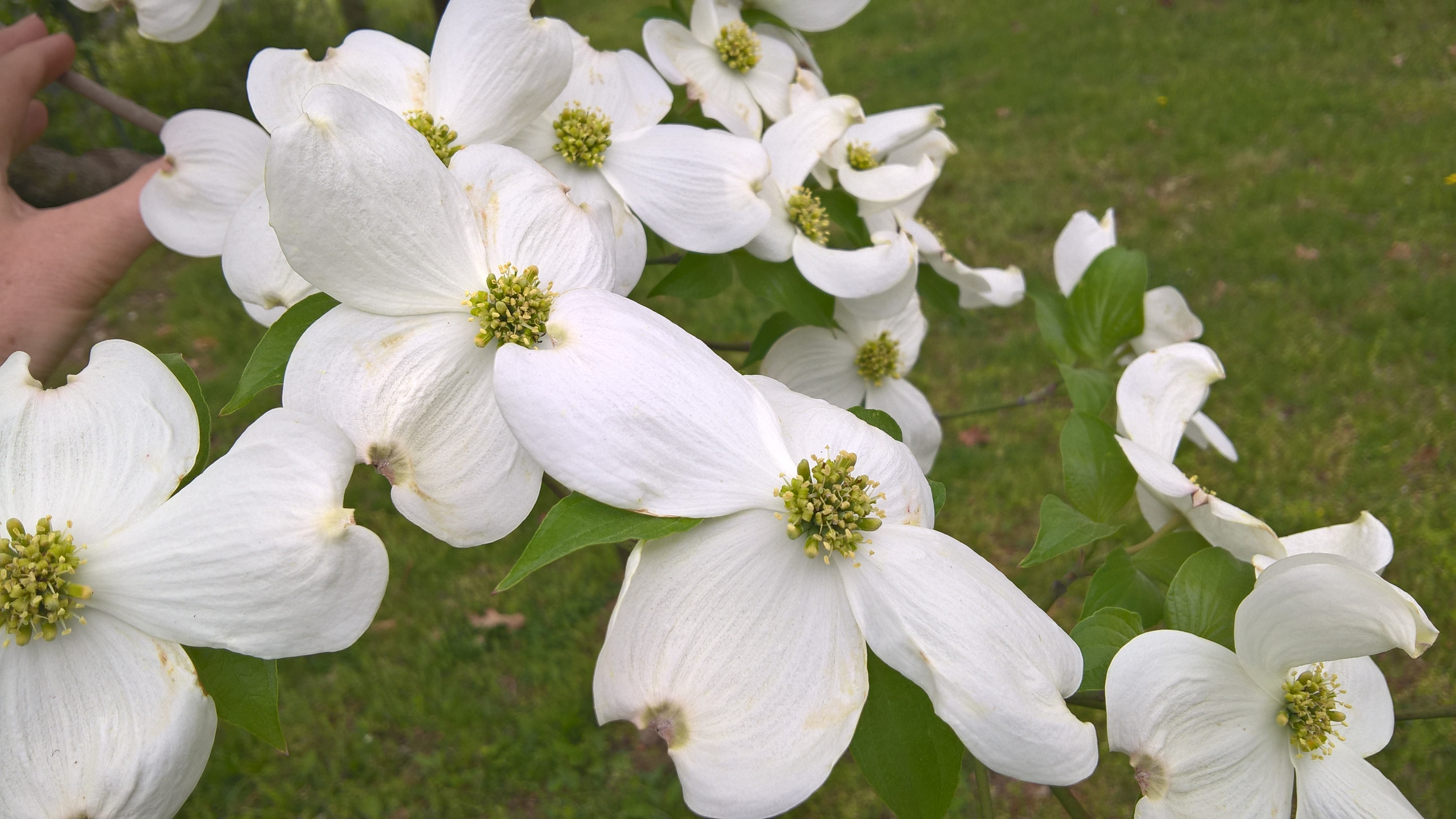 WP_20190423_13_00_57_Pro.jpg