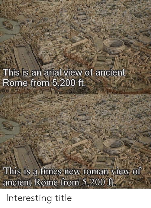 WTF.png