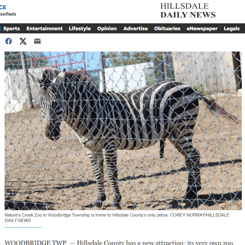 Zeeeb.jpg