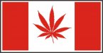 canadian flag.jpg