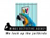 jailbird.jpg