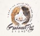 guineapig.jpg