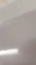 Edge of pint_resized.jpg