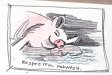 hogwash.jpg